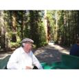 Paul Stylos
September, 2006
Yosemite, California